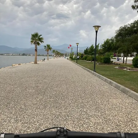 Dream View - Centre